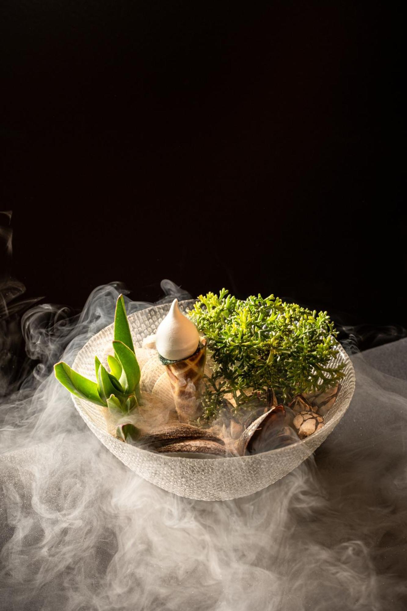 Altis Belem Hotel & Spa, A Member Of Design Hotels Lisbon Exterior photo A terrarium